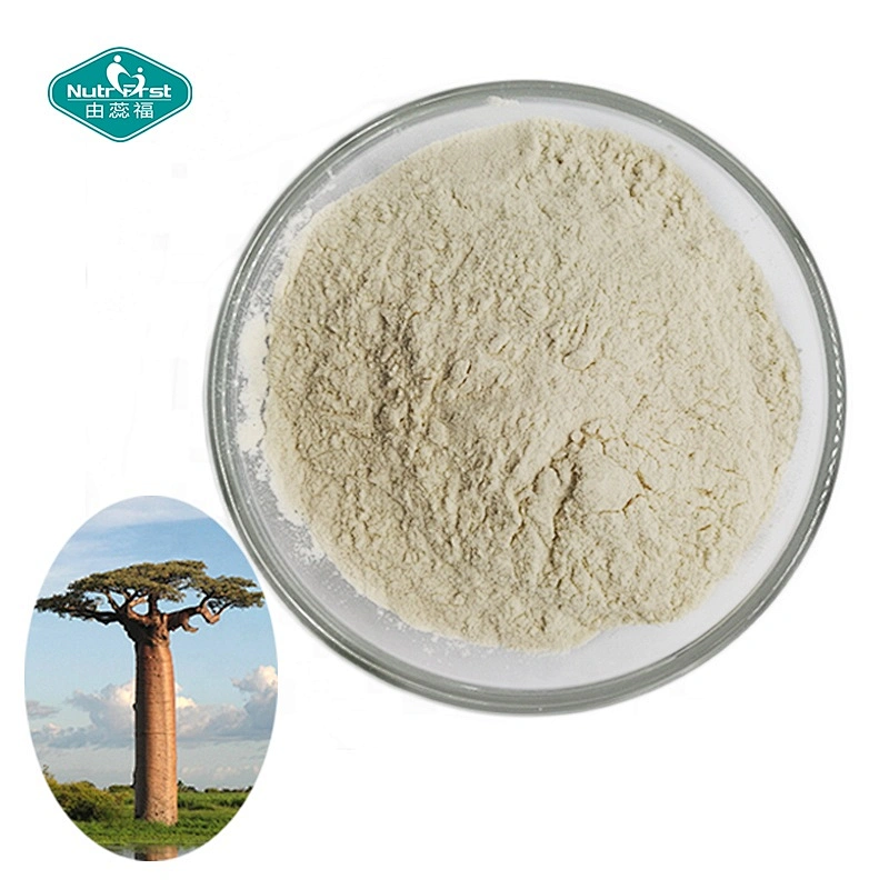 Nutrifirst Bulk Supply Organic Baobab Extract Freeze Dried Baobab Fruit Adansonia Digitata L. Powder