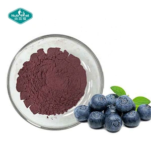 EU Standard Proanthocyanidins Anthocyanosides 25% Bilberry Extract Vaccinium Uliginosum Extract Powder