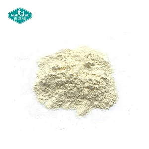 Suplemento de proteína de colágeno de grado alimenticio Nutrifirst, péptido de colágeno de pescado hidrolizado puro, polvo a granel 99%