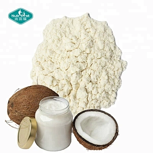 Nutrifirst Bulk Food Additives Vegan 100% Pure Coconut Milk Cocos Instant Powder for Foods and Beverages
