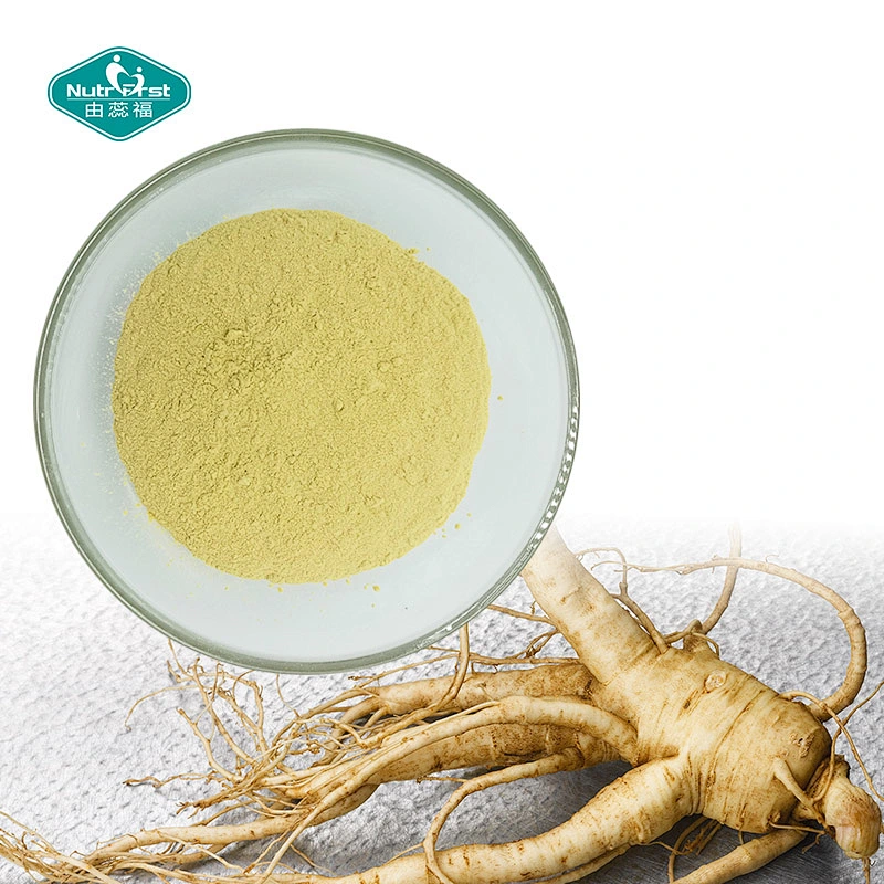 Nutrifirst Food Grade Ginseng Peptide Powder Water Soluble Ginseng Root Extract Small Molecule Peptide 98%