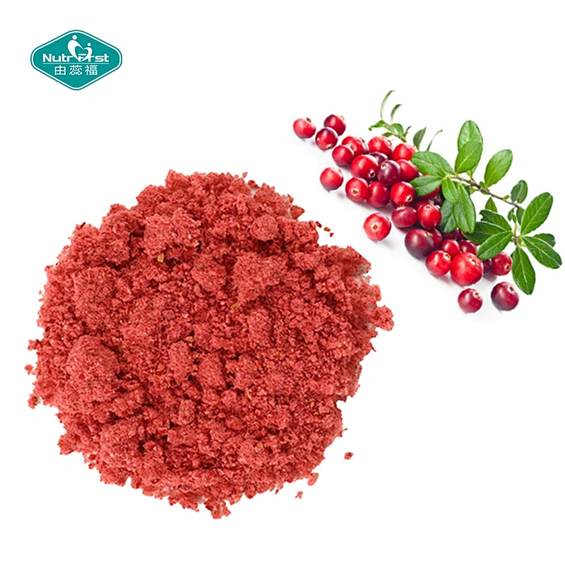 Polvo de extracto soluble en agua de fruta de arándano deshidratado congelado de harina de arándano a medida Nutrifirst con embalaje personalizado
