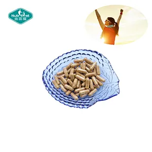 Nutrifirst Private Label Custom Customization OEM Feverfew Extract Capsules