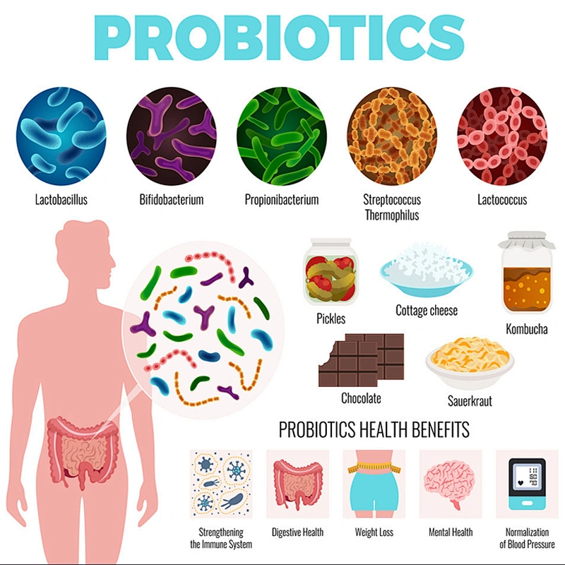 Bespoke Formulation Probiotic Pill 5 Billion CFU Multi-strains Prebiotic Blend Capsules