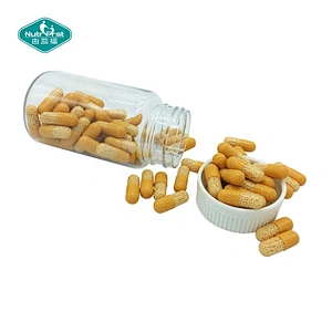 Nutrifirst Custom Formula Calcium Iron Zinc Selenium Slow Release Microbead Capsule Micro-pellets