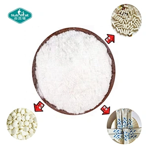 Nutrifirst Probiotics Premix Powder with Sachets Package for Digestive Health Support