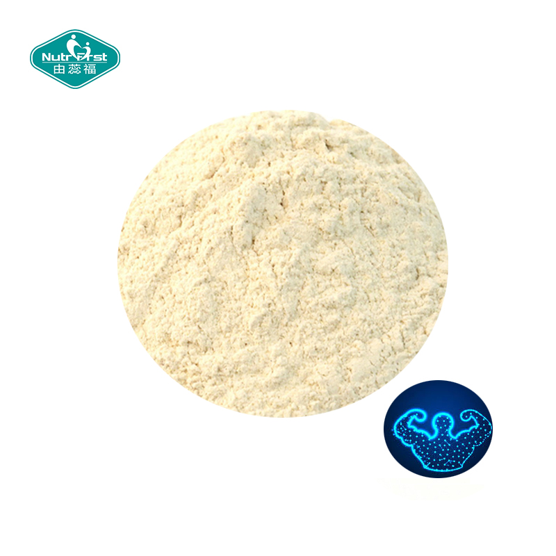 Polvo puro CAS 6020-87-7 del monohidrato de la creatina de la malla del suplemento 200/80 de la creatina del bulto de la fábrica de Nutrifirst ISO