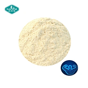 Polvo puro CAS 6020-87-7 del monohidrato de la creatina de la malla del suplemento 200/80 de la creatina del bulto de la fábrica de Nutrifirst ISO