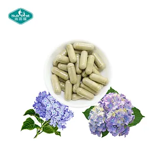 Nutrifirst Custom Customization OEM Improve Liver Health Benefits for Prostate Health Hydrangea Capsules