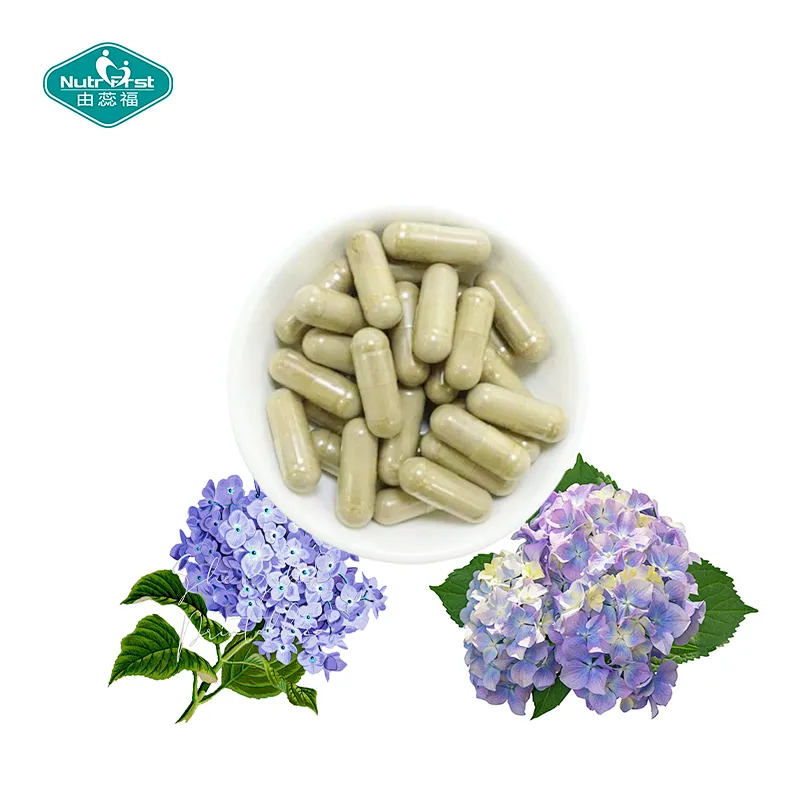 Nutrifirst Custom Customization OEM Improve Liver Health Benefits for Prostate Health Hydrangea Capsules