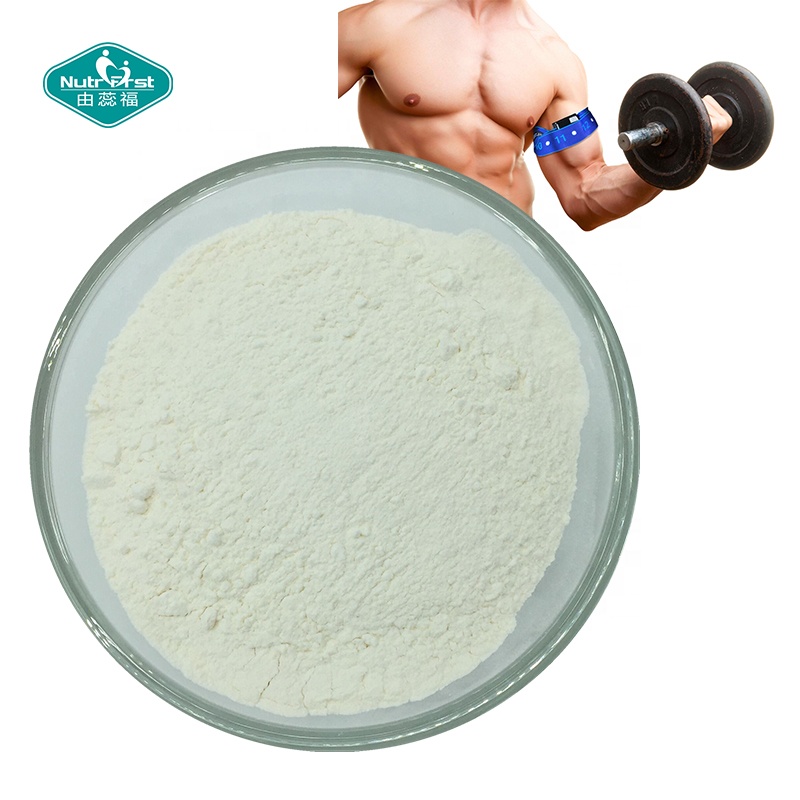 Nutrifirst Manufacturer Supply Supplement Powder Nutrition Water Protein Amino Acid BCAA Powder CAS 69430-36-0