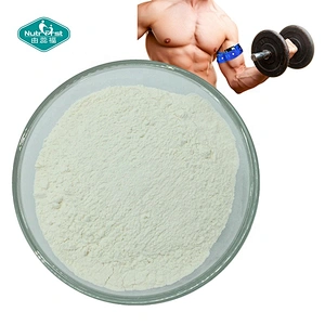 Nutrifirst Fabricante Suministro Suplemento Polvo Nutrición Agua Proteína Aminoácido BCAA 2: 1: 1 Polvo