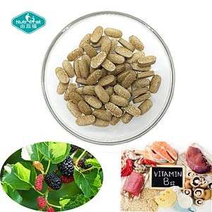Nutrifirst White Label Health Supplements Mulberry Leaf Extract Vitamin B6 B12 Vitamin B Complex Tablets