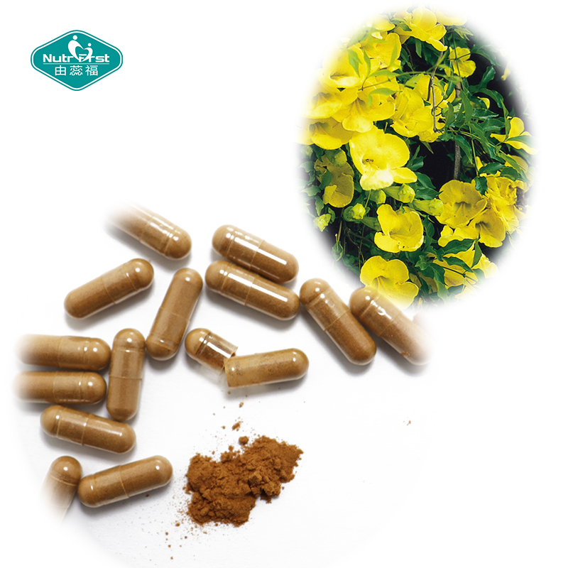 Digestive Health Supplement Herbal Extract Cats Claw Andrographis Garlic Extract Capsule for Gut Flora