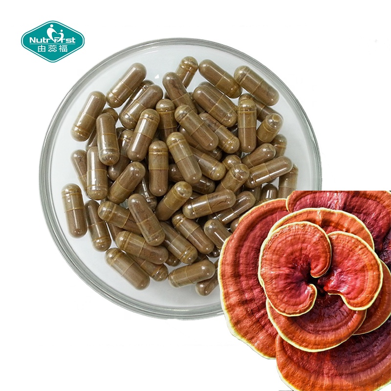 Fórmula a medida, suplemento cerebral nootrópico, extracto de Cordyceps Militaris, cápsulas de refuerzo de memoria de hongo Reishi