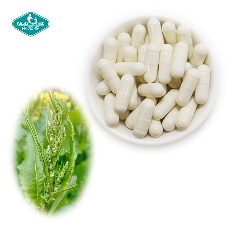 Wholesale Non-GMO Bone Health Supplement Multimineral Blend Vitamin D Calcium Yellow Dock Creatine Bulk Capsule Pills