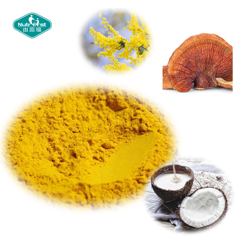 Suplemento de salud para recuperar energía, bebida en polvo de Acacia de magnesio Reishi de cola de pavo para relajar la mente