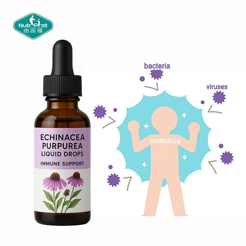 Bespoke Package Herbal Supplement Echinacea Purpurea Liquid Drops Immune Support with Multivitamins