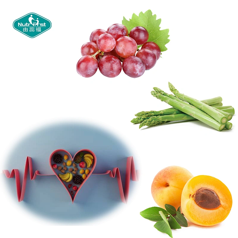 Mezcla de frutas a base de hierbas investigadas por Nutrifirst Salud cardiovascular Algas marinas Uva Arándano Cápsula vegana