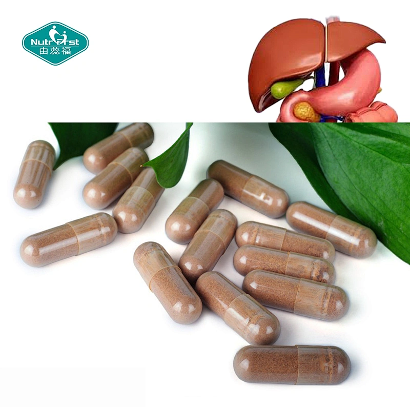 Cápsula del suplemento del hígado de la vesícula biliar del OEM con la pepsina de la raíz de la piedra de las sales de la bilis conjugada del extracto de la bilis del buey de la pancreatina