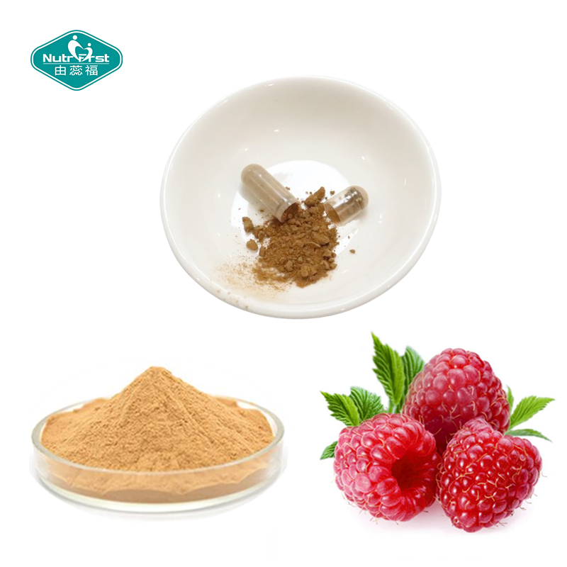 Nutrifirst Custom Customization OEM Enhance Energy Levels Promote Fat Breakdown Raspberry Ketone Capsules