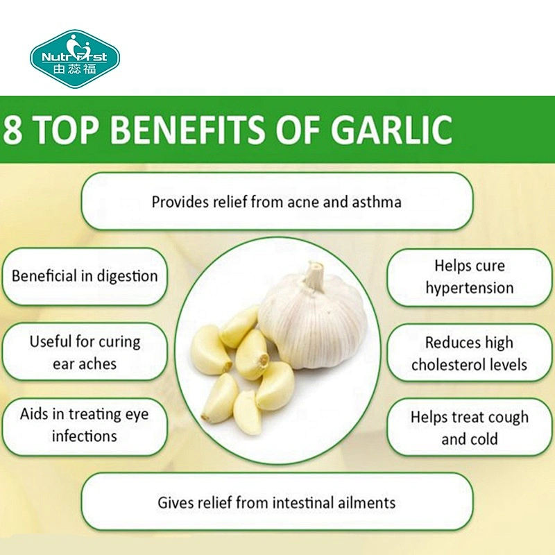 Nutritional Products Manufacturers Improved Immunity Supplement 500:1 Odorless Garlic Oil Softgel with Allicin