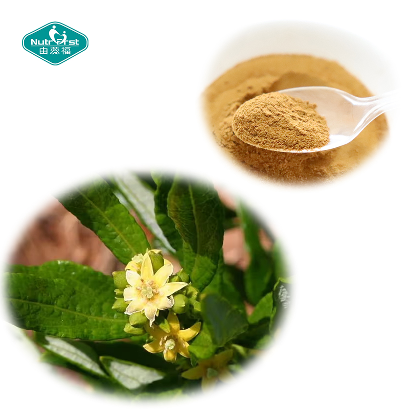 Food Grade Factory Supply Herbal Extract Muscle Strength Mental Function Enhance Fadogia Agrestis Extract Powder