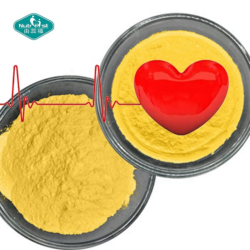 Professional Factory Bulk 303-98-0 Suplemento Ubiquinol Materia prima 98% Coq10 Co enzima Coenzima q10 Polvo