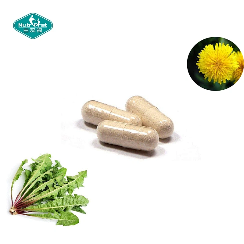 Herbal Product Dandelion Leaf Juniper Berry Buchu Leaves Com Silk Extract Capsules with Paprika Watermelon Powder