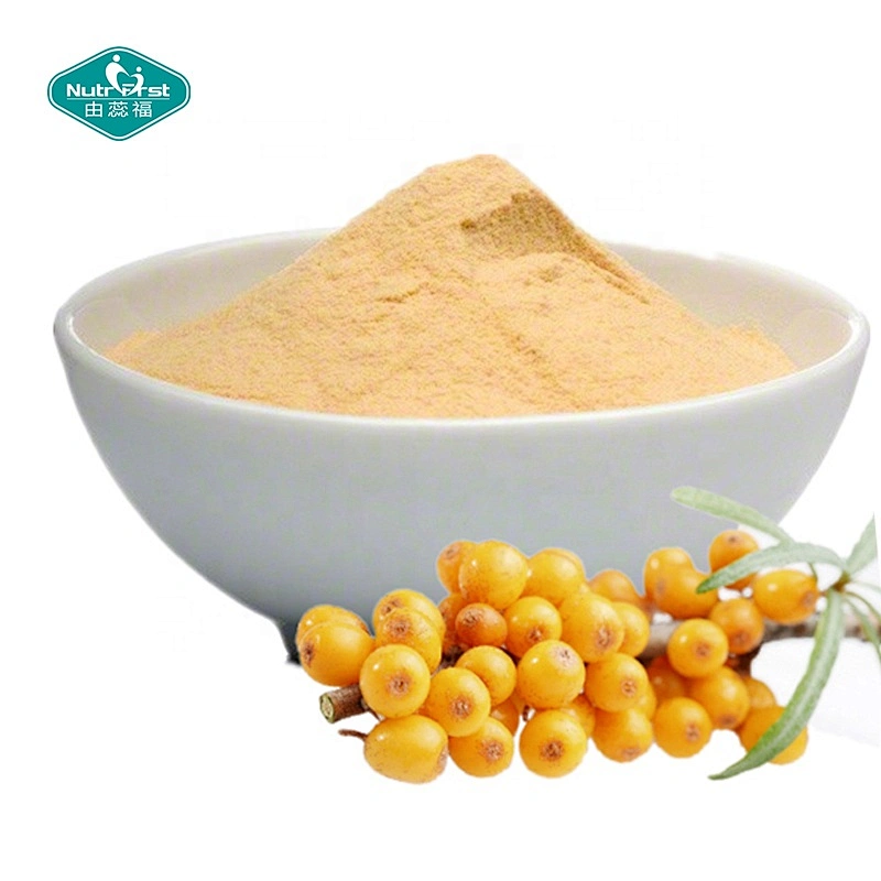 Nutrifirst Sea Buckthorn Fruit Spray Dryed Seabuckthorn Flavone Powder Hippophae Rhamnoides. L