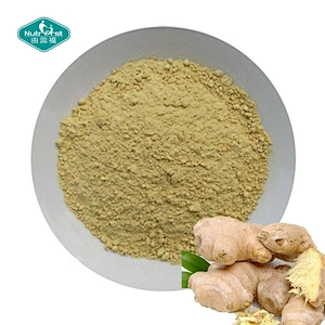 China Manufacturer Supply Organic Ginger Root Extract Powder with Gingerol & Zingiber Officinale
