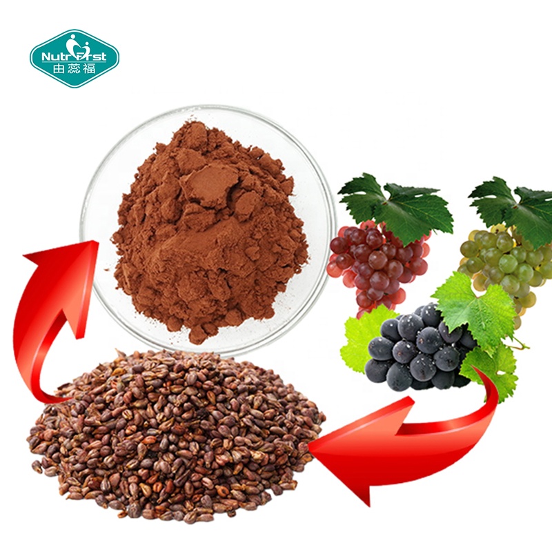 Fruit Extract Wholesale 95% Polyphenols Proanthocyanidins Grape Seed Extract