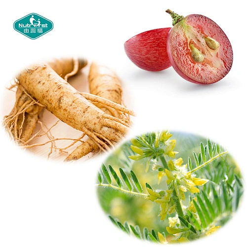 OEM Private Label Ear Health Improve Focus Herbal Extract Drop Oil Liquid