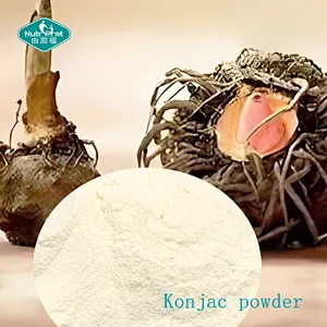 Nutrifirst Bespoke Package Glucomannan Drink Powder From Konjac Root for Gut Health and  Metabolism Support
