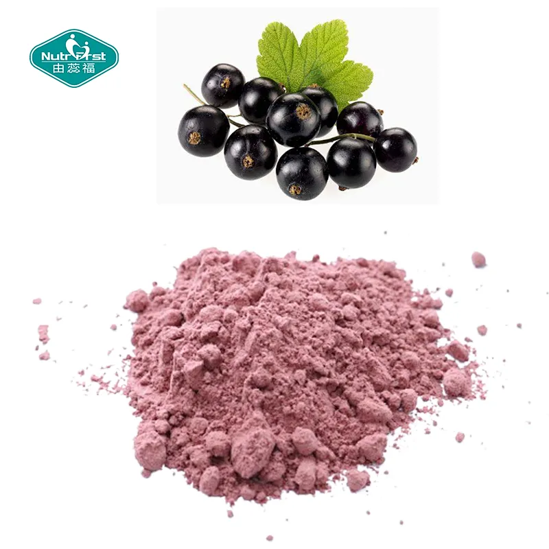 Nutrifirst Bespoke Black Currant Flour Frozen-Dried Black Currant Water Soluble Extract Powder with Customized Packaging