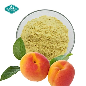 Nutrifirst Organic Food Additives Solid Extraction Spray Dried Extract Apricot Fruit Water Soluble Juice Powder