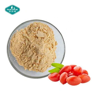 Nutrifirst Supply Lcycium Barbarum Polysaccharide Goji Berry Peptide Wolfberry Extract Powder in Bulk