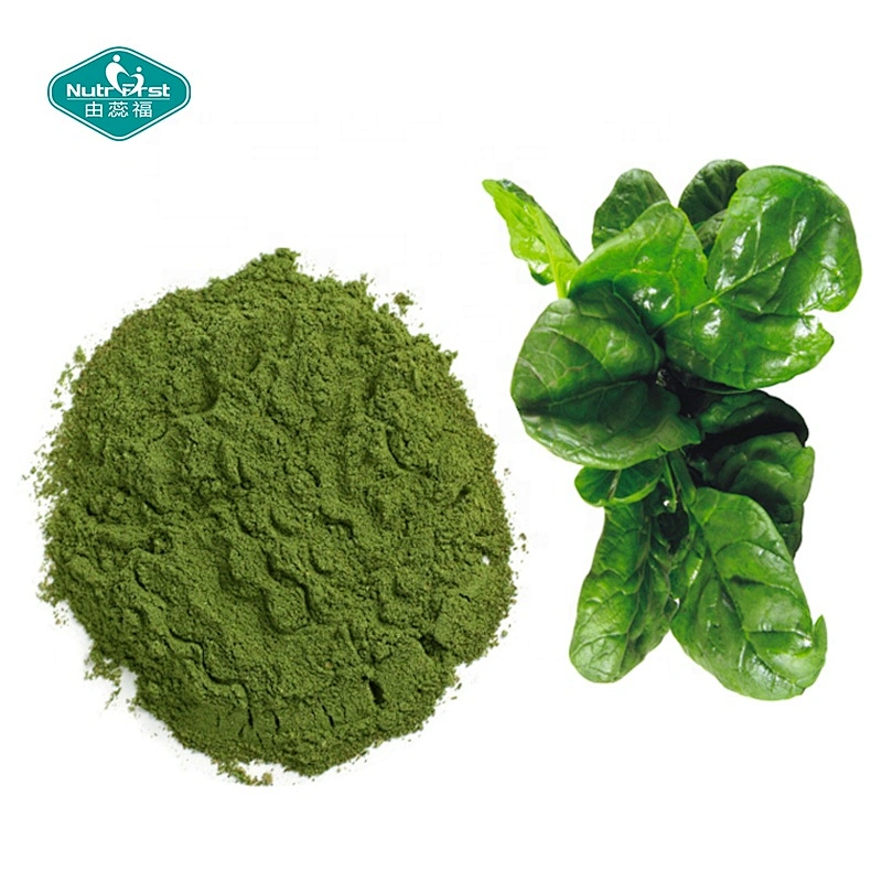Nutrifirst aditivos alimentarios orgánicos deshidratados vegetales liofilizados extracto de hierbas de espinacas en polvo Soluble en agua