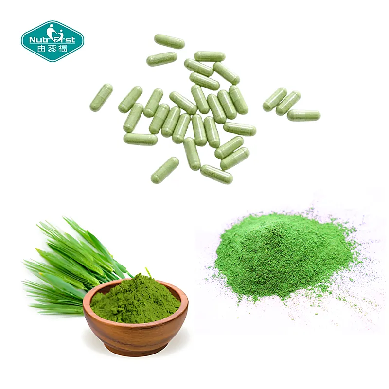 Nutrifirst Custom Customization OEM 10-In-1 Various Natural Extracts Improve Well-Being Bring Overall Health Green Food Capsules