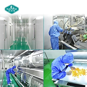 Cápsula blanda vegana de aceite de algas OEM DHA de Nutrition con Omega-3 que proporciona apoyo a la memoria