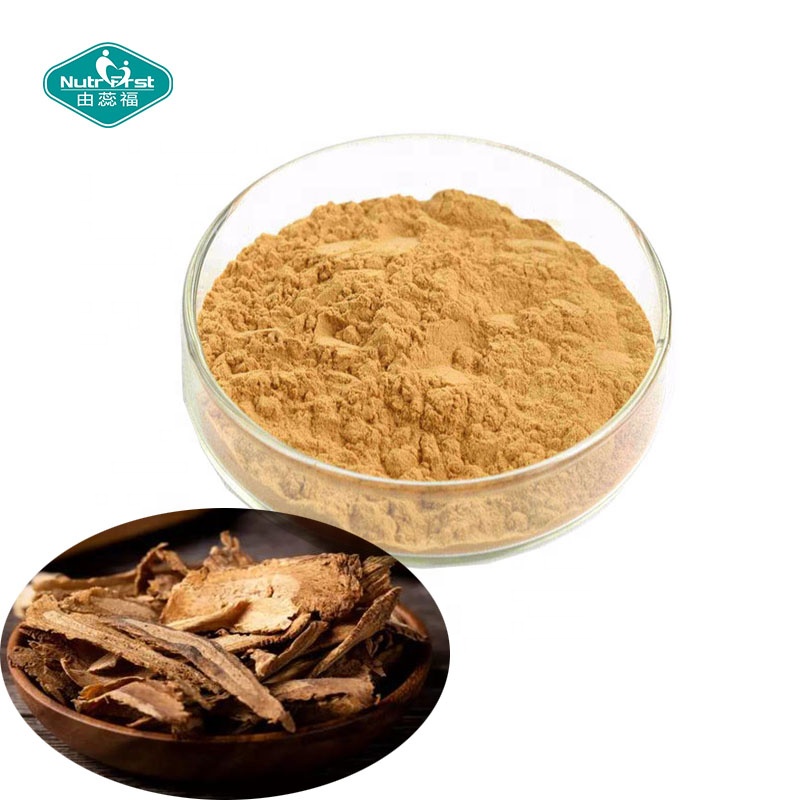 Fábrica profesional china Dang Gui Angelica Sinensis Dong Quai Extracto de raíz Polvo Angelica Dahurica Extracto