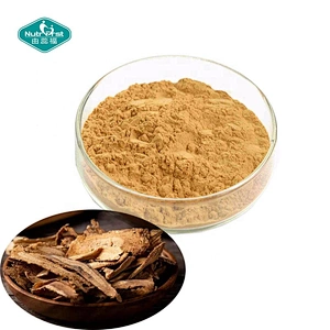 Chinese Professional Factory Dang Gui Angelica Sinensis Dong Quai Root Extract Powder Angelica Dahurica Extract