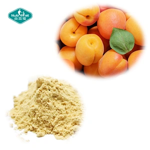 High Quality Customized Flavonoids Frozen Dried Apricot Fruit Powder in Bulk