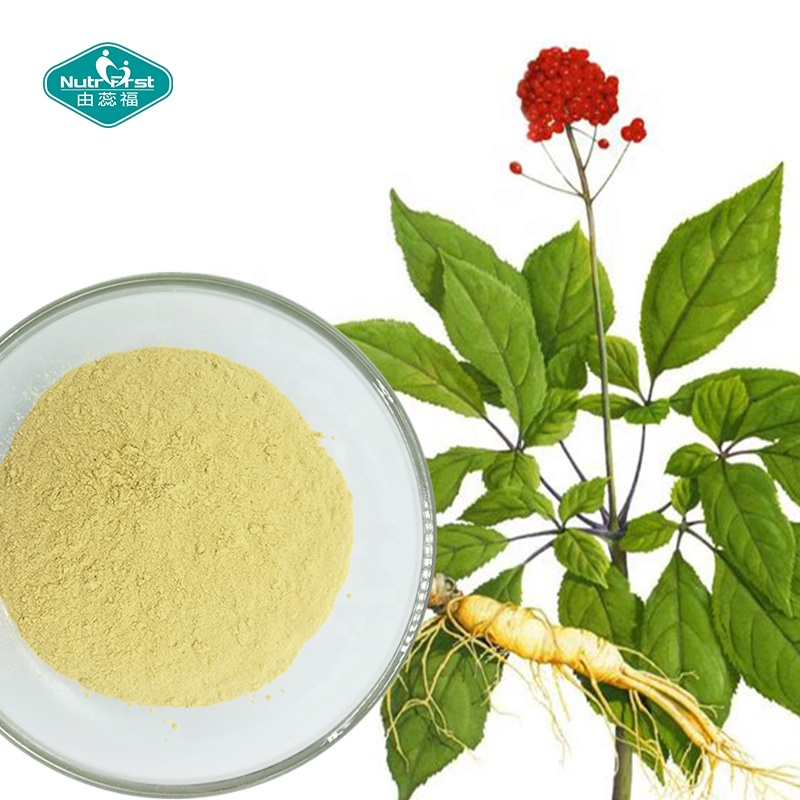 Best Herbal Supplements Chinese Top Quality Panax Ginsenosides Ginseng Root Extract Water Soluble Powder