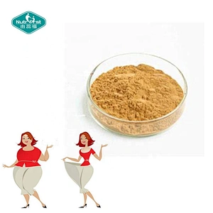 Proveedor de fábrica ISO de China Polvo de extracto de hoja de olivo a granel 40% 70% Extracto de hoja de hidroxitirosol de oleuropeína Oliva