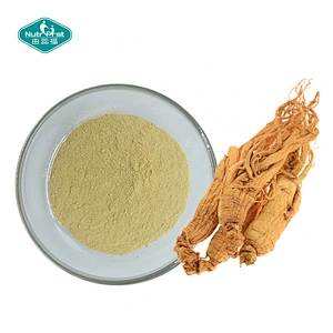 Healthcare Herb Extract Organic Plant Ginsenoside Extract Bulk Panax Ginseng Ginseng Root Extract Powder