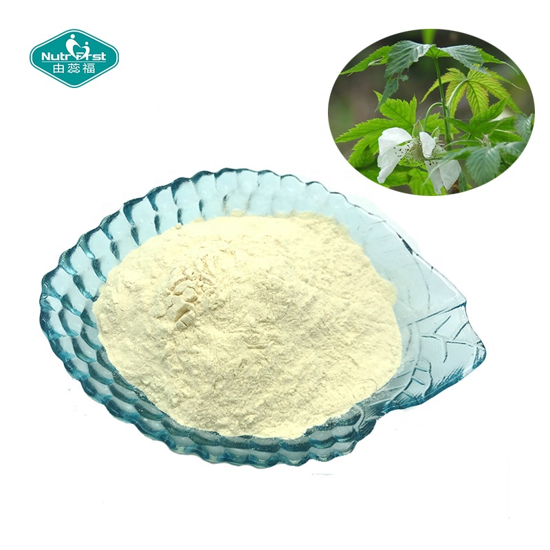 Bulk Food Additive Sweet Tea Leaf Extract 70% Rubusoside Rubus Suavissimus Extract Powder CAS 64849-39-4
