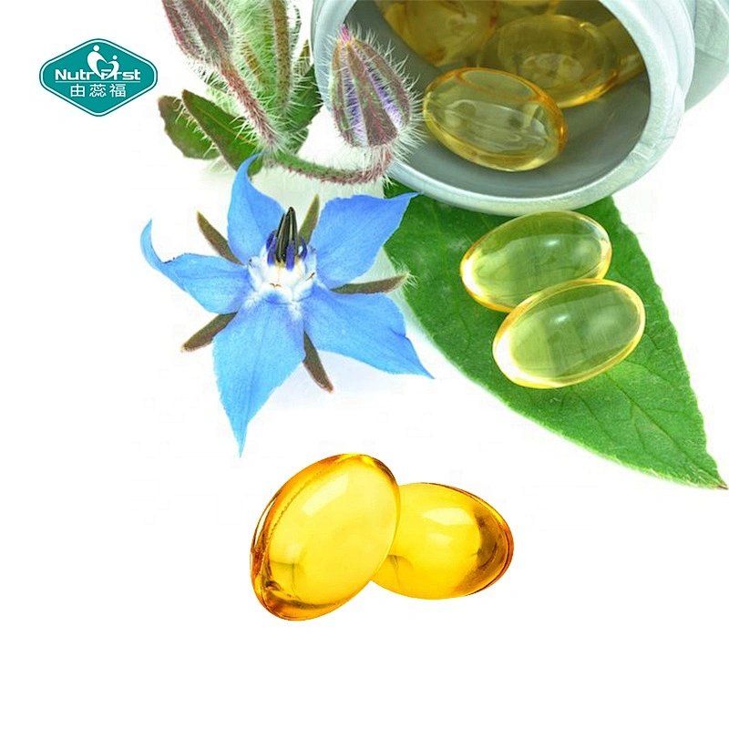 Nutrifirst suplementos femeninos vegetariano sin OGM GLA Omega 369 aceite de borraja refinado 500 mg 1000 mg cápsula blanda