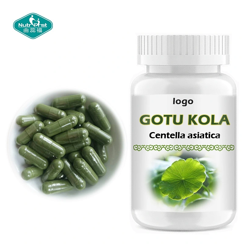 Nutrifirst Private Label Customized Premium Gotu Kola Centella Asiatica Herbal Supplement Powder for Skin Health