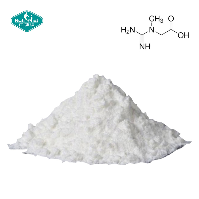 Nutrifirst High-quality Raw Materials Creatine Monohydrate Pure Powder CAS 6020-87-7 with Bespoke Packing